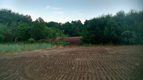 Fallow Fields For Wildlife